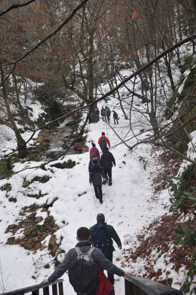 Aktaş Şelalesi